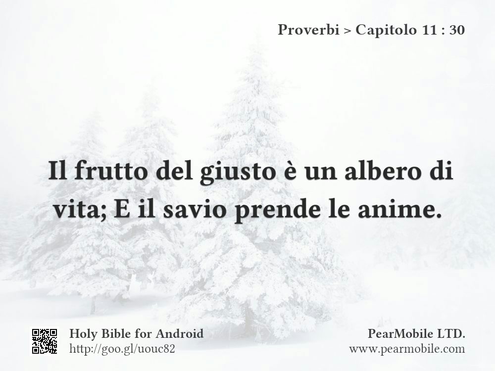 Proverbi, Capitolo 11:30